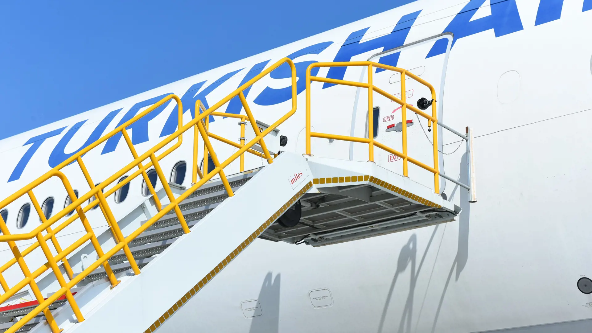 Ladder Maintenance Platform visual 3